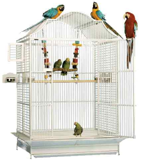 New and Used Bird Cages for Sale